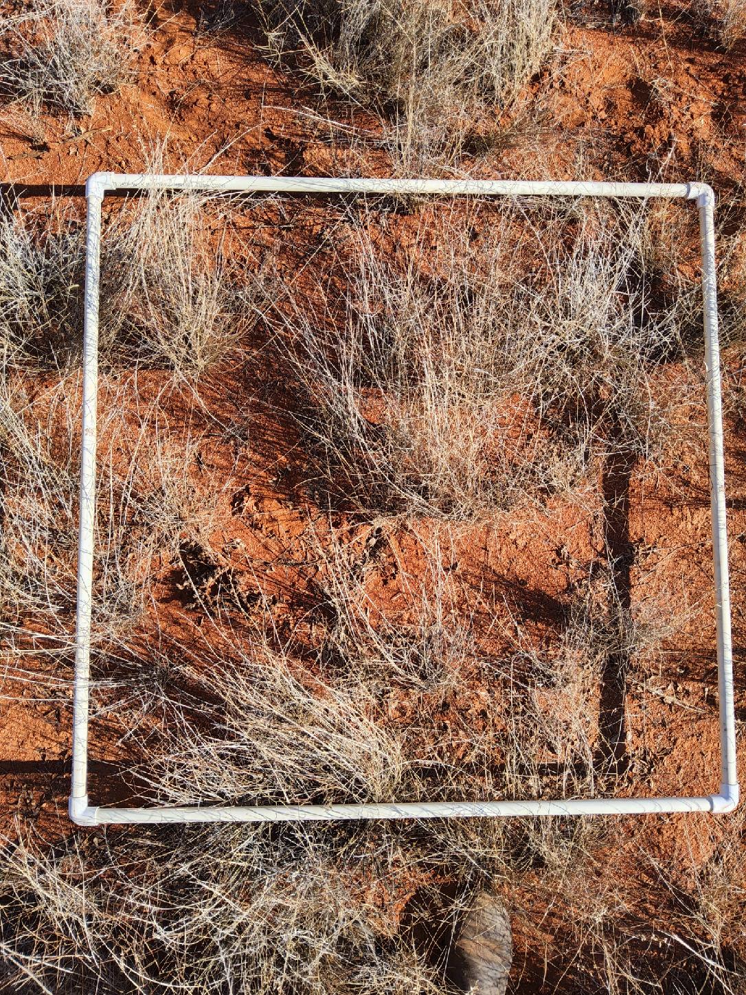 AVENZA_GPS_V_ACCURACY:2500/1000