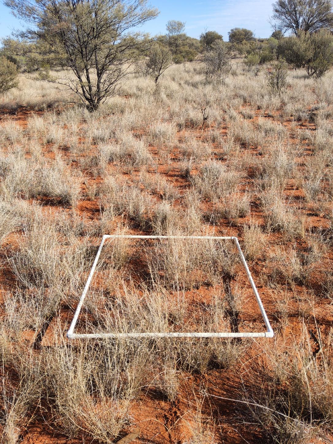 AVENZA_GPS_V_ACCURACY:2500/1000