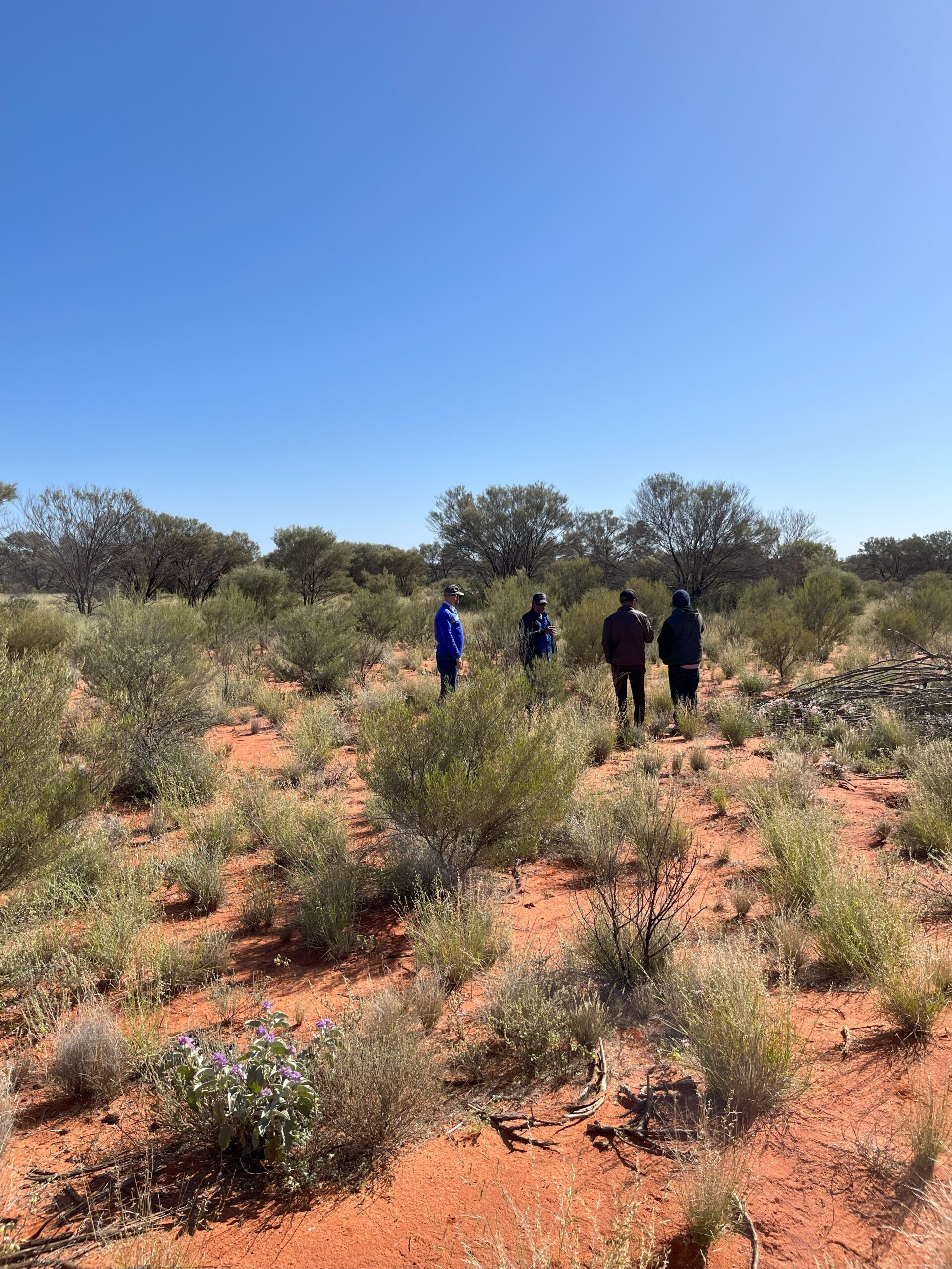 native title tour